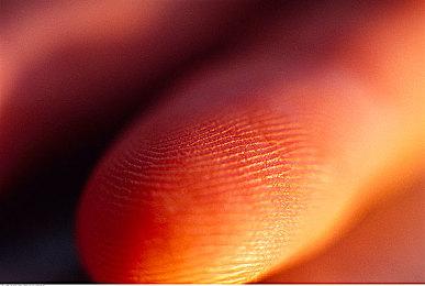 《微软飞行模拟：年度版》公布 11月18日发售